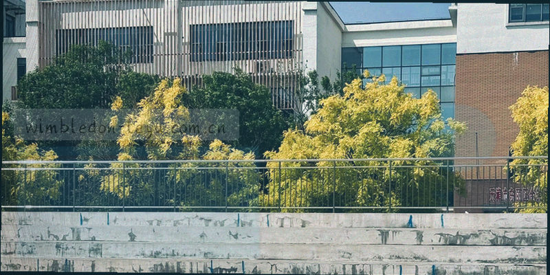 温布尔登球场俯瞰全景，绿色草坪与紫色装饰交织